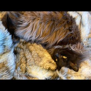 Meet your Posher, Ann